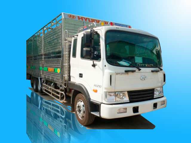 Xe tải Hyundai HD210 12T5 chở gia súc